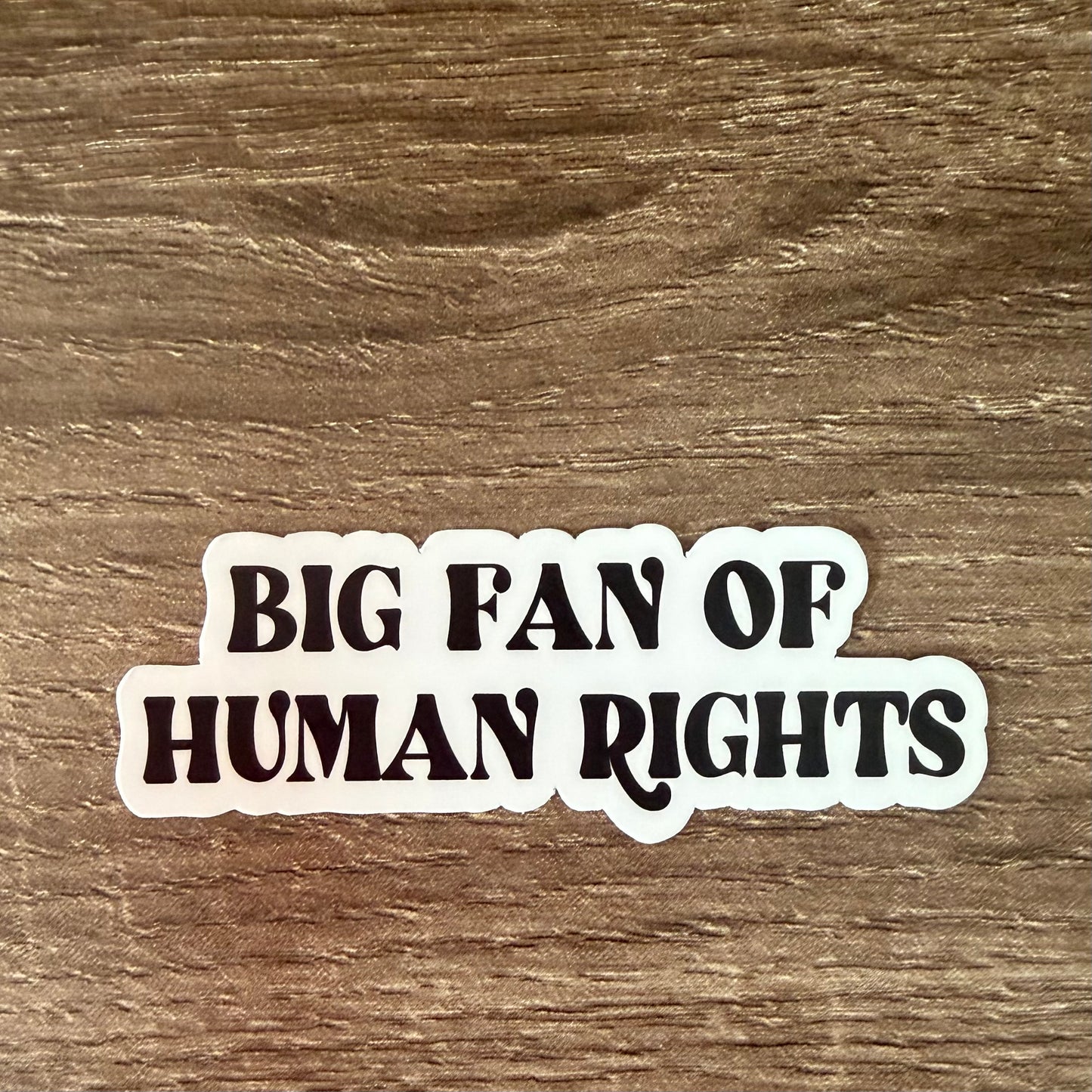 Big Fan of Human Rights Sticker