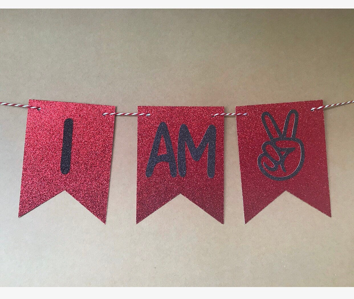 I Am Two Banner (Qty. 1)| Two Cool Banner| Twi Cool High Chair Banner| Two Cool Bunting| Two Cool Garland| I am 2 Decorations