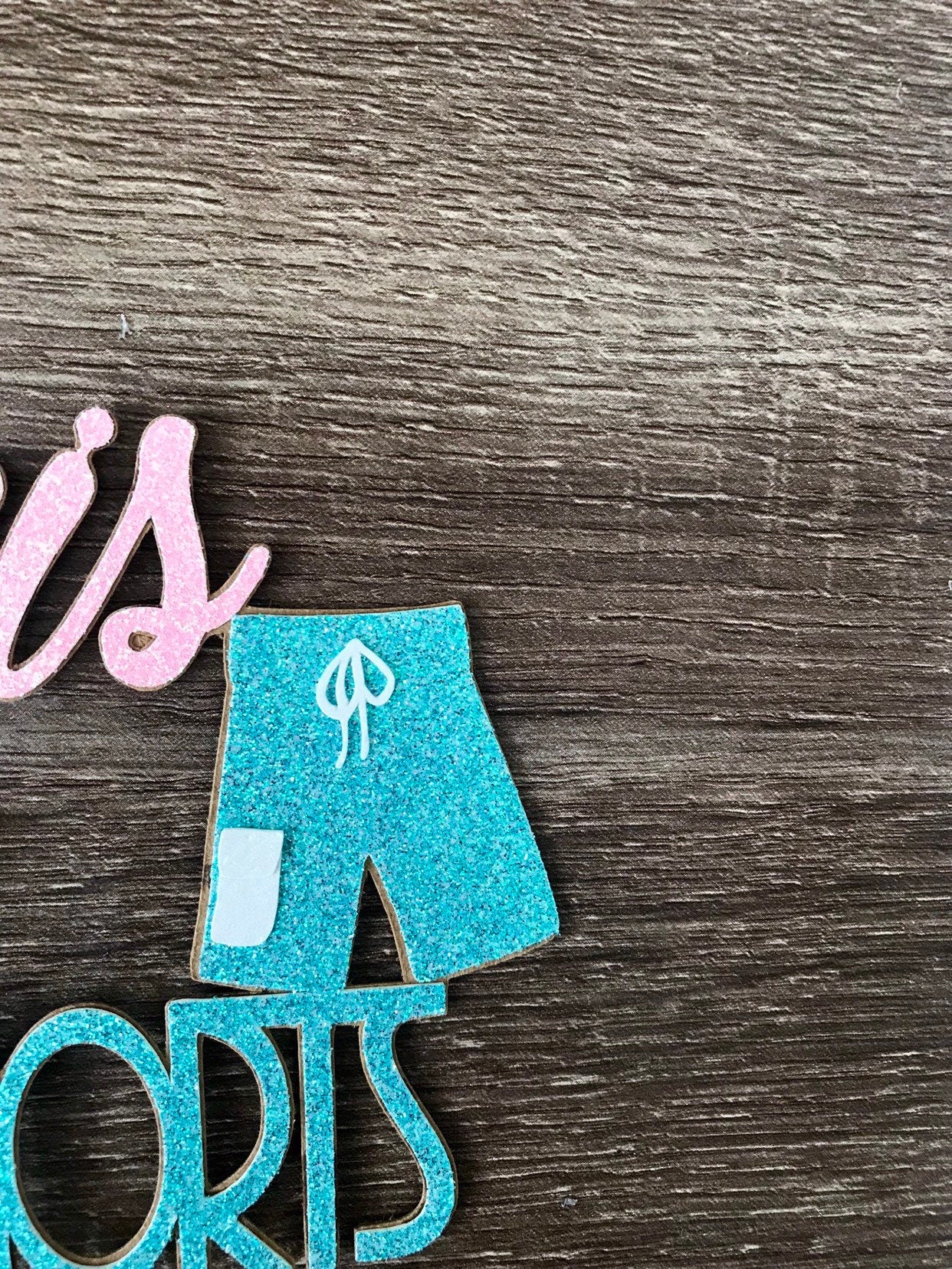 Bikinis or Boardshorts Gender Reveal Cake Topper