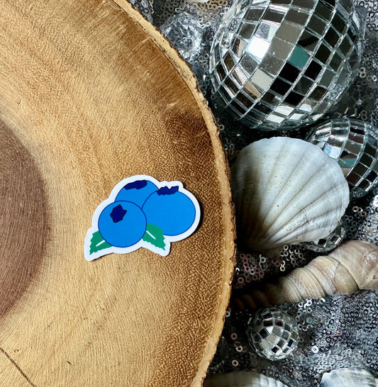 Blueberry Sticker| Farmers Market Sticker| Coastal Summer Sticker| Journal Sticker| Fruit Stickers| Cute Blueberry Decals| Food Stickers